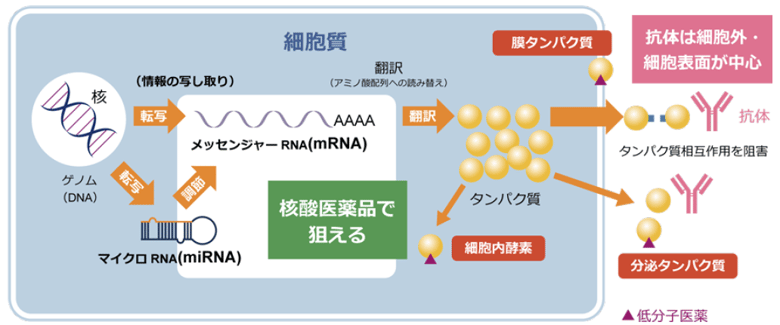 240906_blog_1