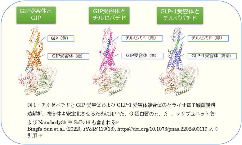 251215_InsightBlog_2_3