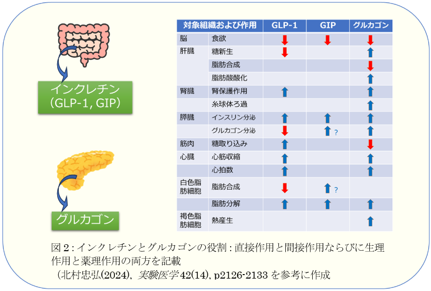251215_InsightBlog_3
