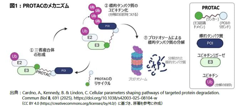 260212_InsightBlog_1