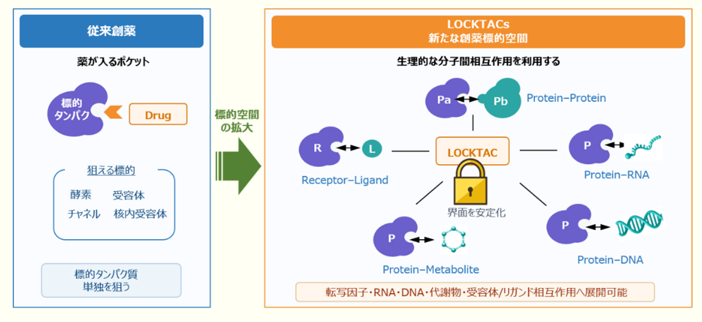 業界展望－創薬 第28回&nbsp;創薬の新しい物差し「時間」―LOCKTACsが操る分子の滞在時間―